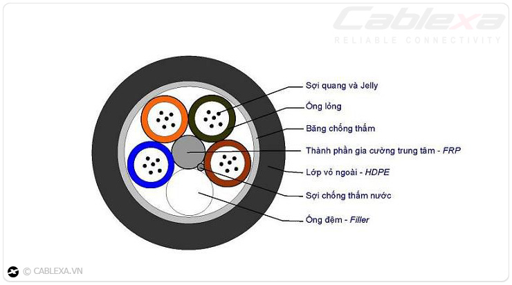 Cáp quang single mode 12 FO luốn cống chống chuột