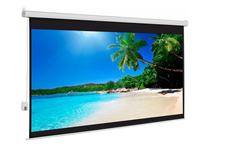 Màn Chiếu Điện Điều Khiển DALITE 50 INCH - Mã P50ES