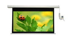 MÀN CHIẾU ĐIỆN ĐIỀU KHIỂN DALITE 80 INCH - MÃ P80ES