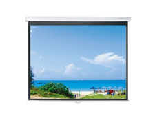 Màn Chiếu Treo Tường 84 INCH DALITE - Mã P84WS T